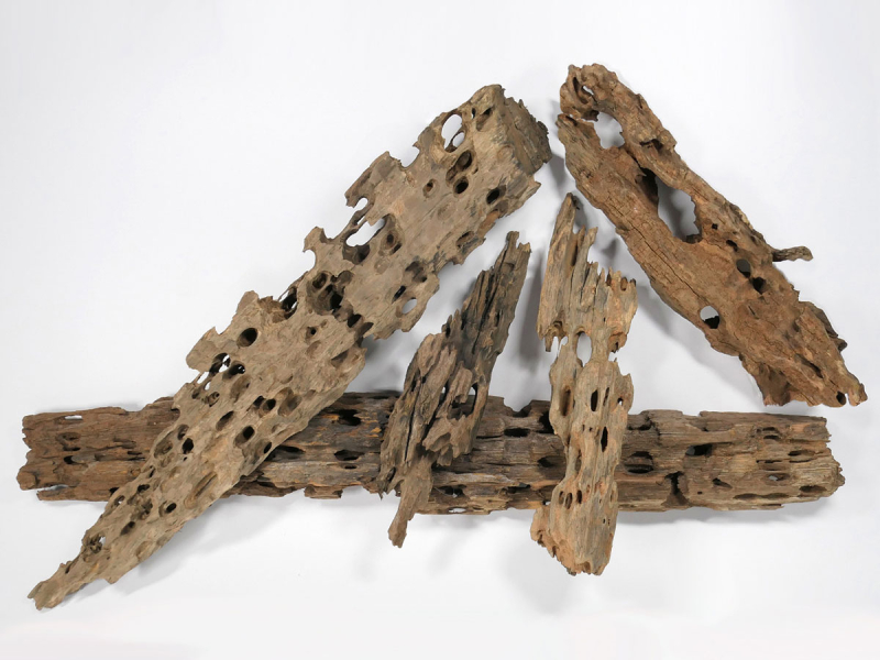 Caruqa-Wurzel für Aquarien und Teiche 1