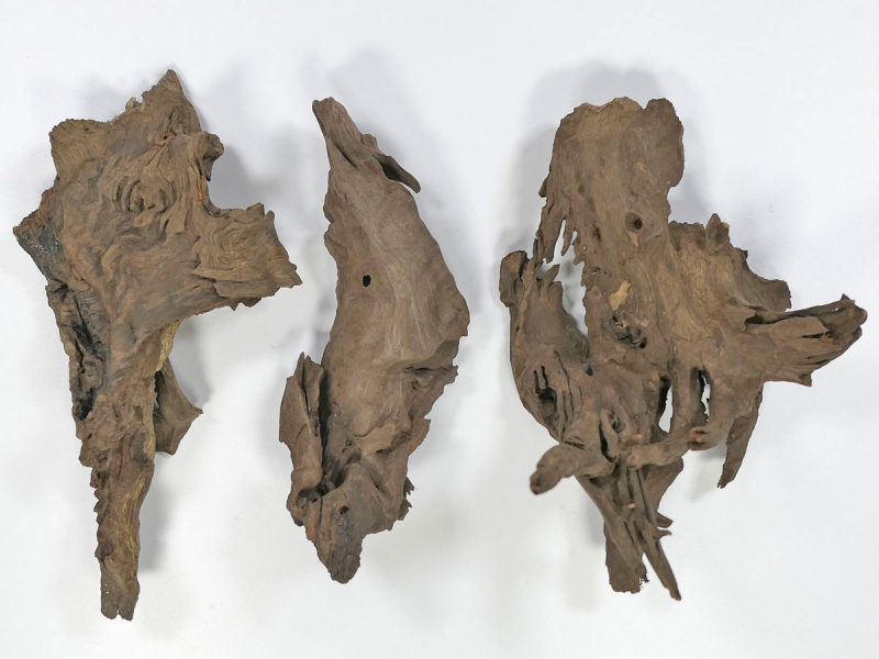 Finger-Wurzel füe Aquarien und Teiche 1