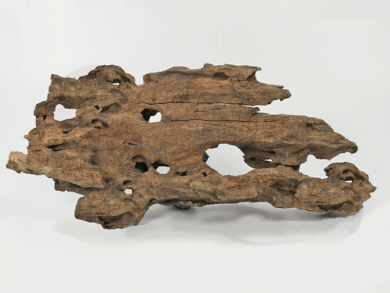 Caruqa-Wurzel für Aquarien und Teiche 3