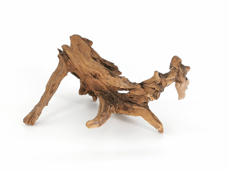 Finger-Wurzel füe Aquarien und Teiche 1