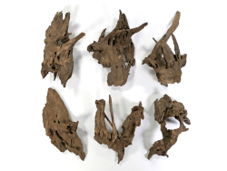 Finger-Wurzel füe Aquarien und Teiche 1